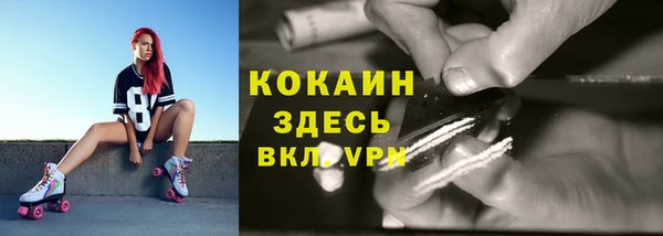 крисы Богородск