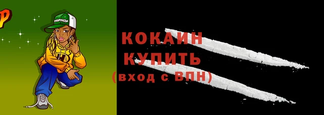 ПСИЛОЦИБИНОВЫЕ ГРИБЫ Магас