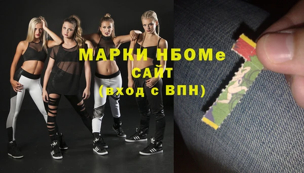 молекула духа Богородицк