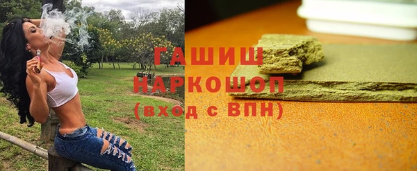 молекула духа Богородицк