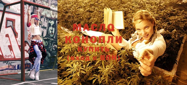 молекула духа Богородицк