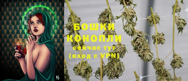 молекула духа Богородицк