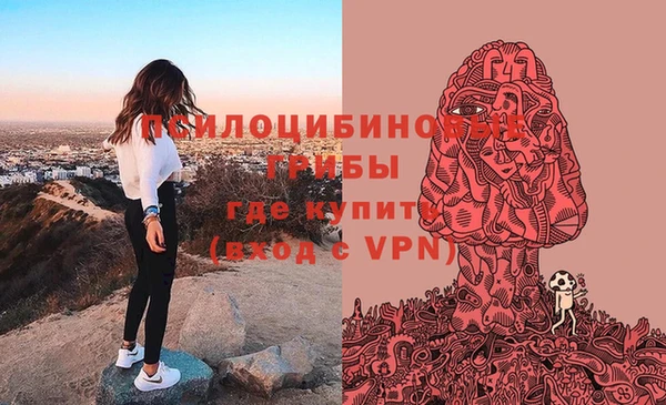 дурь Белокуриха