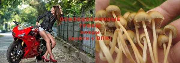 дурь Белокуриха